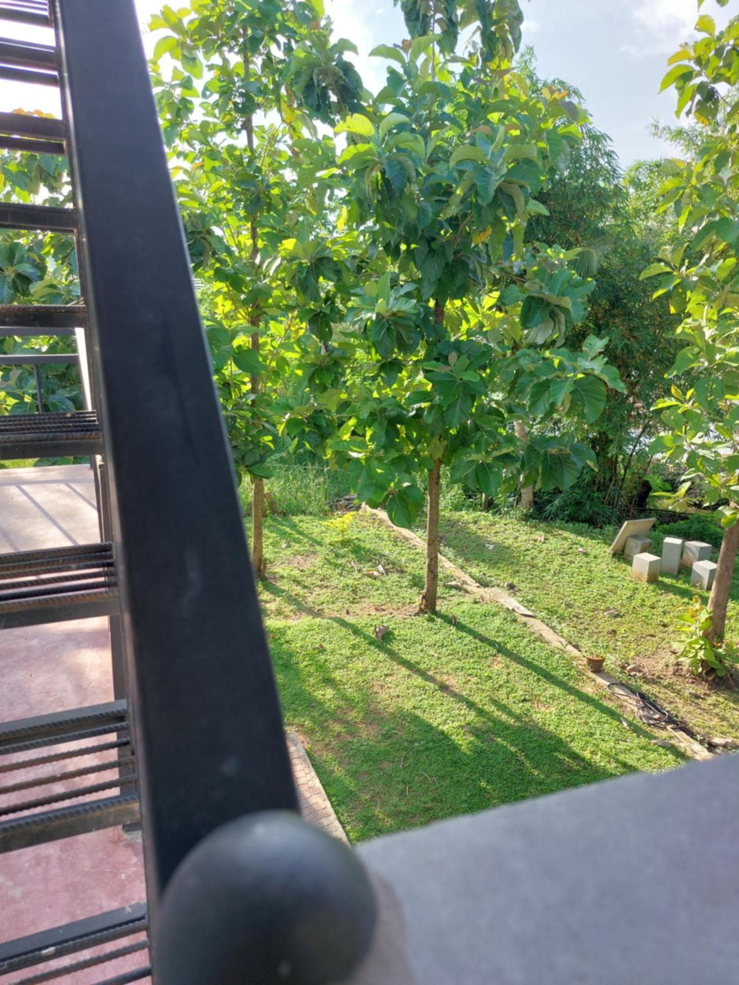 Green Shield Resort Anuradhapura Kültér fotó