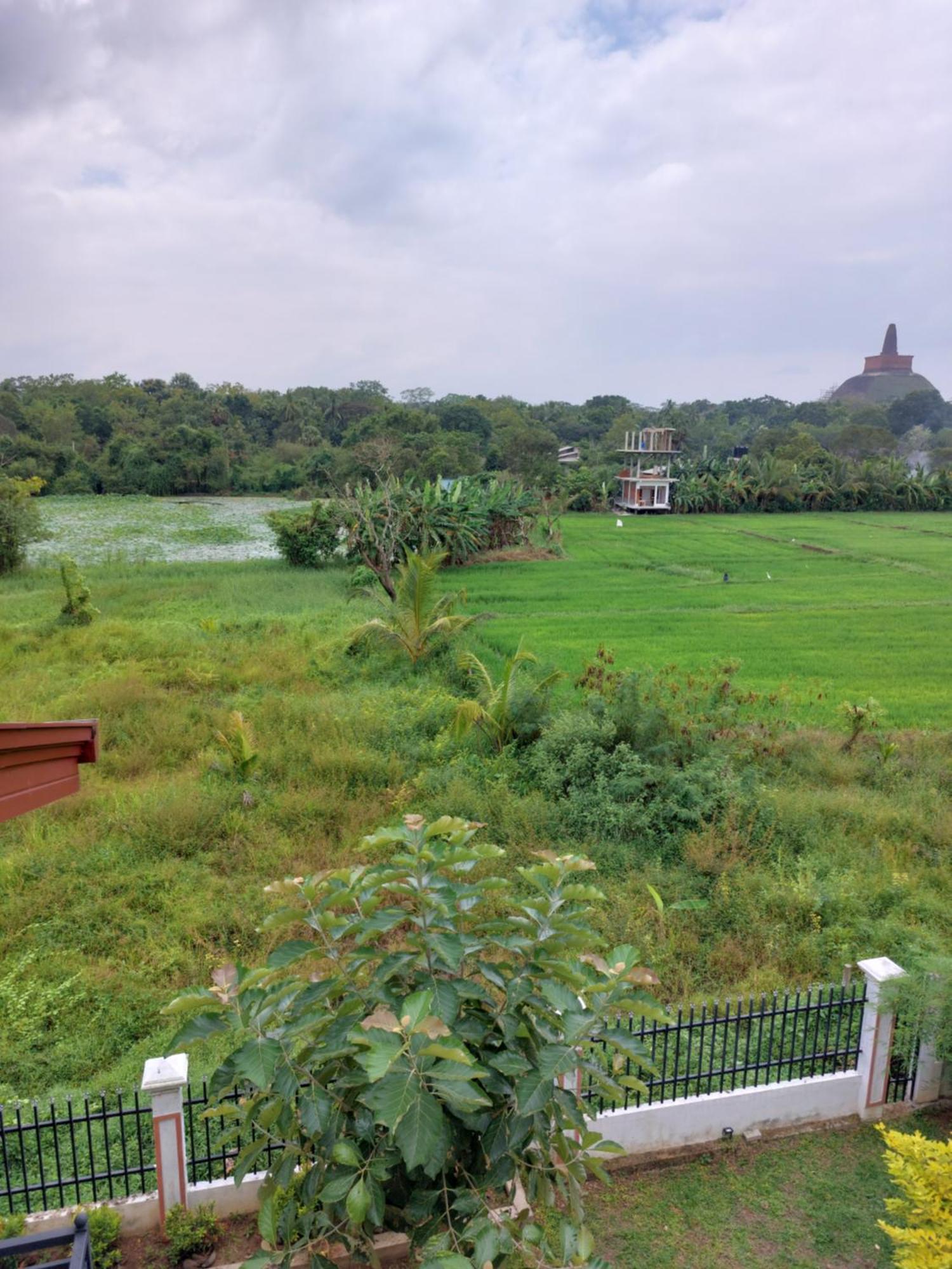Green Shield Resort Anuradhapura Kültér fotó