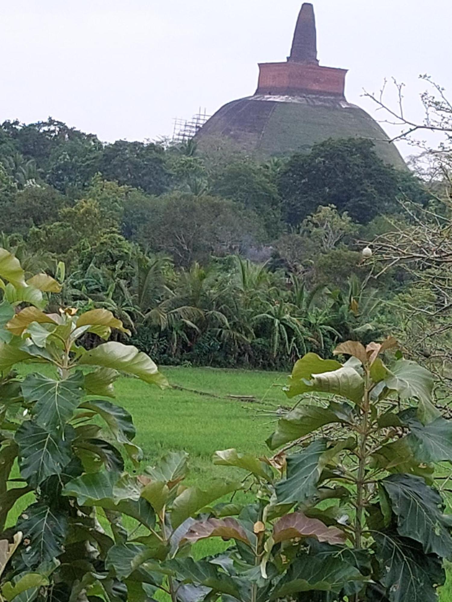 Green Shield Resort Anuradhapura Kültér fotó