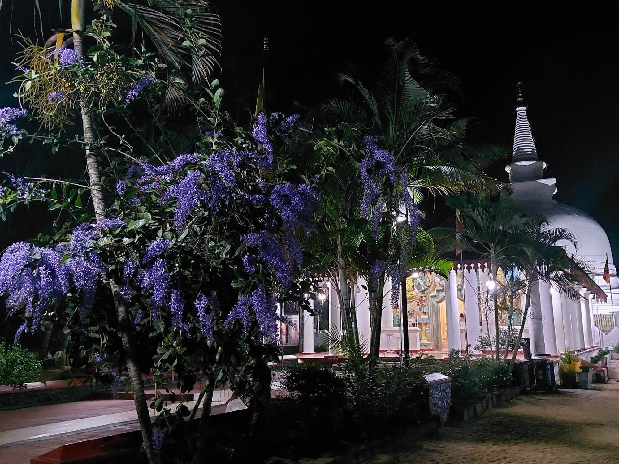 Green Shield Resort Anuradhapura Kültér fotó