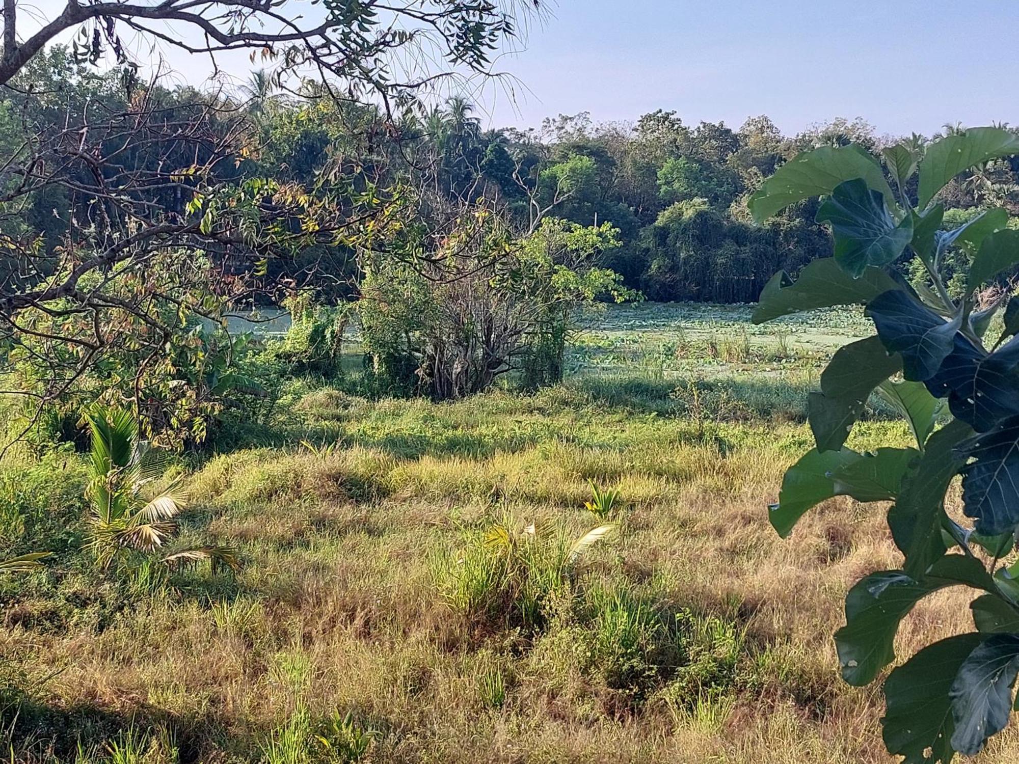 Green Shield Resort Anuradhapura Kültér fotó